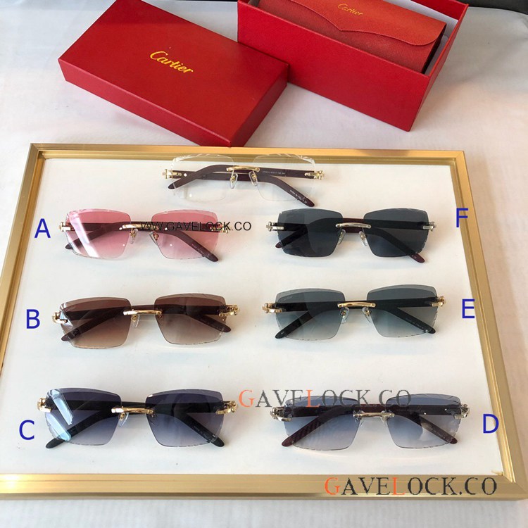Premiere de Cartier Sunglasses CT0013 Rimless Eyewear